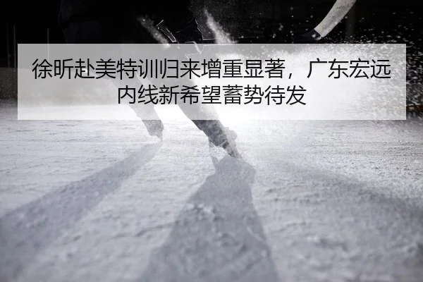 徐昕赴美特训归来增重显著，广东宏远内线新希望蓄势待发